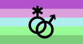 Quadrisian or toric (1).png